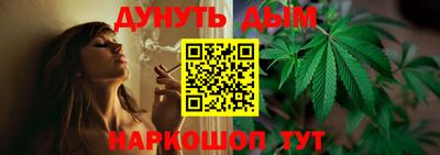 дмт Новодвинск