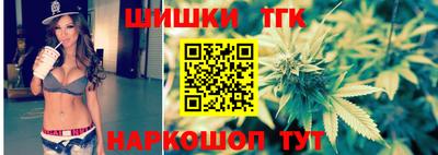 дмт Новодвинск