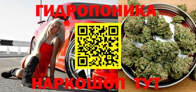 дмт Новодвинск
