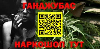 дмт Новодвинск