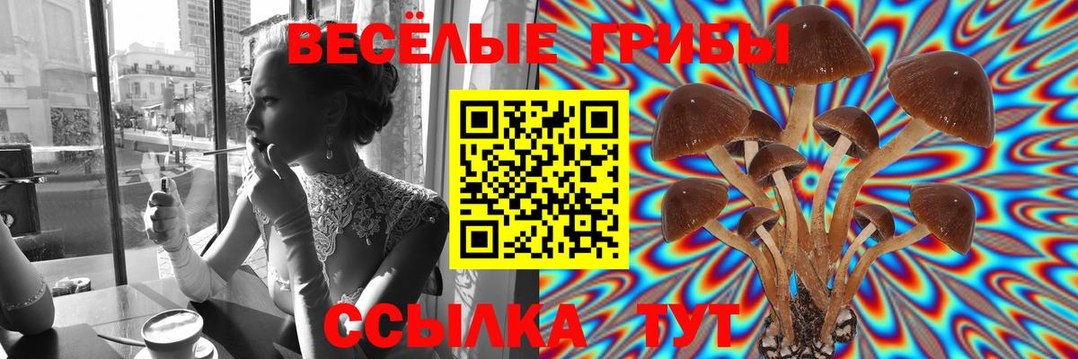 Галлюциногенные грибы ЛСД  Галлюциногенные грибы GOLDEN TEACHER  Наро-Фоминск  купить наркотик  Вход с VPN 
